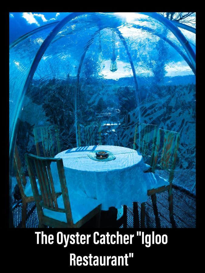 The Oystercatcher 4*